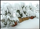 20060305_1005_schnee Der grosse Schnee; ... auf meinem kleinen Balkon